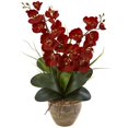 thumbnail image 2 of Nearly Natural Double Phalaenopsis Harvest Silk Orchid Arrangement in Ceramic Vase, 2 of 2