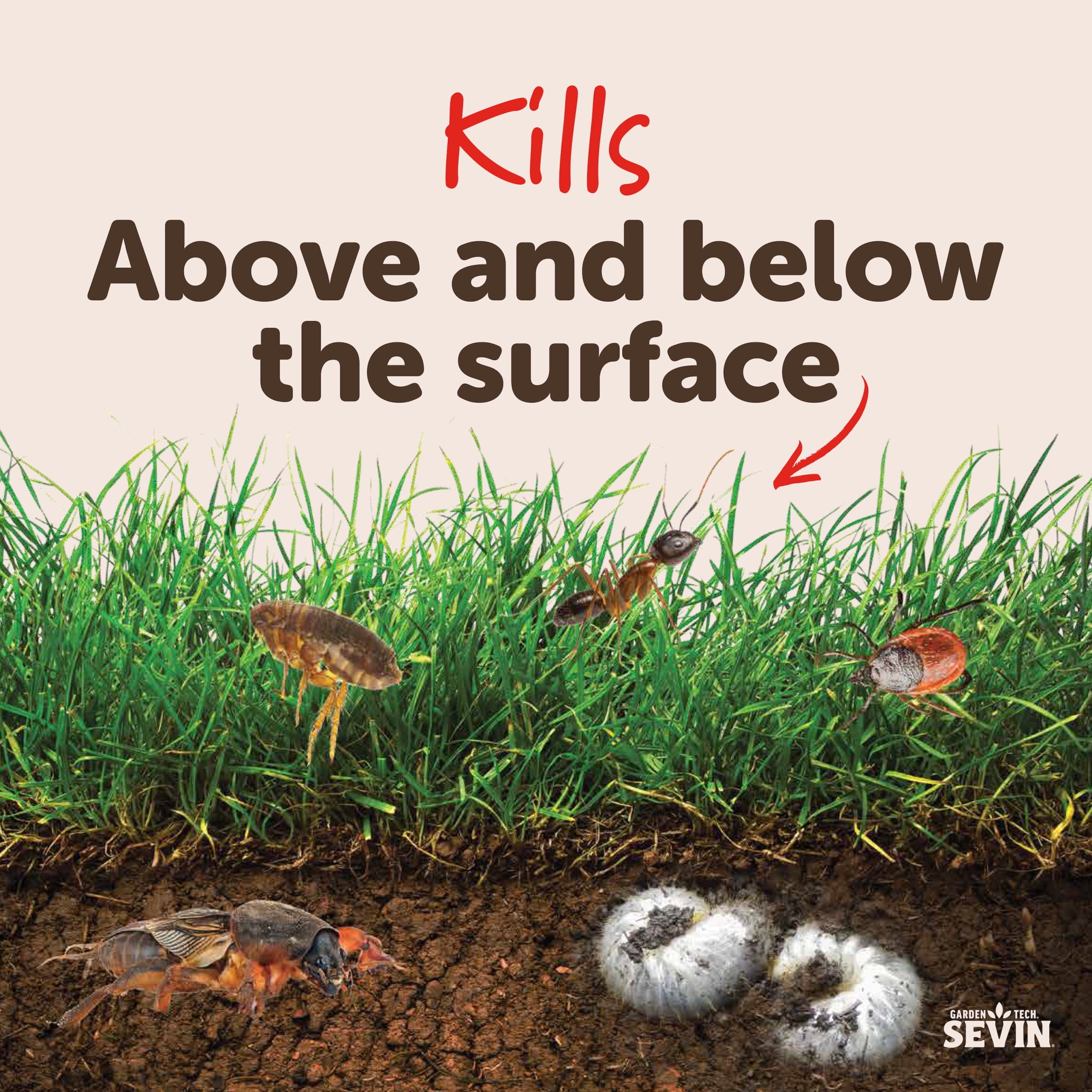Sevin Insect Killer Outdoor Lawn Granules; 20lb Bag Treats up to 20,000 Square feet of Lawn