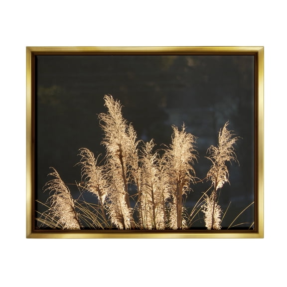 Stupell Industries Moonlit Pampas Grass Rural Reeds Plant Botanicals Photograph Metallic Gold Floating Framed Canvas Print Wall Art, Design by Gail Peck