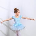thumbnail image 4 of SGMVNU Toddler Girls Dresses Dance Ballet Tutu Leotard Ballerina Outfit Girls Summer Dress Size 7 Long Sleeve Gymnastics Dress(Size 12-13 Years,2-Pink), 4 of 5