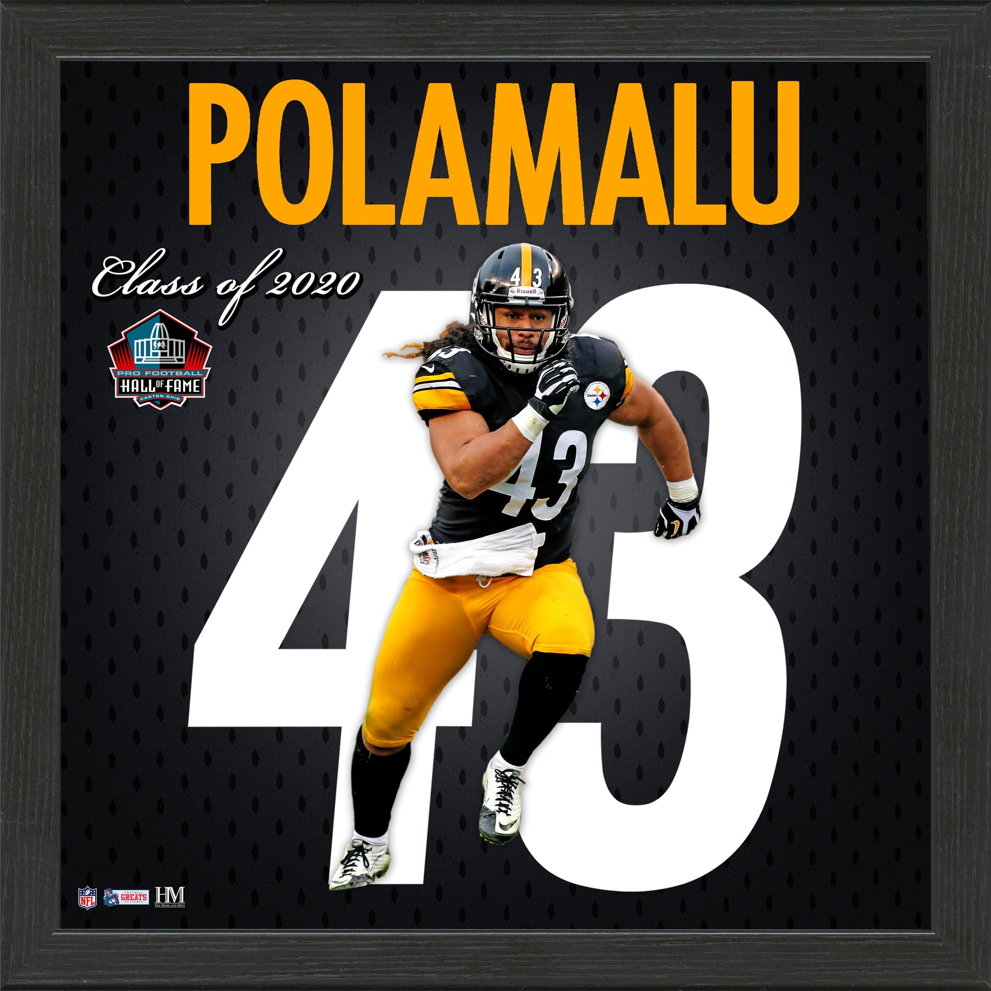 troy polamalu pro bowl jersey