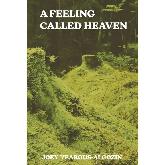 A Feeling Called Heaven (Paperback)