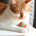 thumbnail image 4 of Reheyre 1/5/10Pcs EVA Rainbow Stripes Pattern Foam Bouncy Ball Cat Toy Pet Supplies, 4 of 8