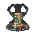thumbnail image 4 of Lsque Happy Fall Y'All Dog Harness, No-Pull Pet Harness with 2 Leash Clips, Adjustable Soft Padded Dog Vest with Easy Control Handle for Large Dogs-X-Large, 4 of 9