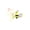 C 1Pcs, variant on HOARBOEG 1Pcs Pull String Cat Toy with Bouncy Plush Mouse - Interactive Cat Wand with Elastic Teaser Cord, Self Amusing Dangler Toy for Indoor Cats, Hunting Instinct Stimulator for Home Play