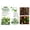 A, variant on 120ml Silk Plant Cleaner Spray, Professional Artificial Flower Cleaner for Fake Greenery and Silk Flowers, Shine Restoring Stain Remover for Indoor Decorative Ornaments, Home and Office Use