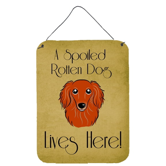 Caroline's Treasures BB1462DS1216 Longhair Red Dachshund Spoiled Dog Lives Here Wall or Door Hanging Prints, 12x16,