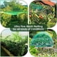 thumbnail image 5 of Malla Para Pájaros Malla Para Jardín Barrera Red Antipájaros Contra Pájaros Ardillas Y Otros Animales matsuzay HA036648-00, 5 of 6