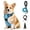 Blue, variant on BRIOPAWS Dog Harness, No Pull Puppy Dog Vest Harness, Reflective No-Choke, Essential Pets Accessories with Easy Control Handle,Pink