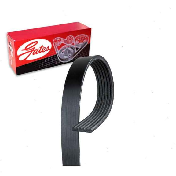 Gates Micro-V Serpentine Belt compatible with Cadillac CTS 3.6L V6 2016-2019
