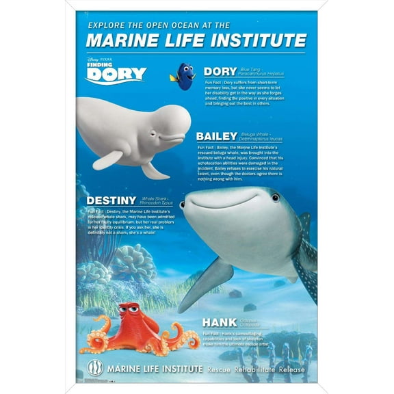 Disney Pixar Finding Dory - Group Wall Poster, 14.725" x 22.375", Framed