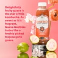 thumbnail image 3 of (3 pack) Synergy Guava Goddess Kombucha 48 fl oz, 3 of 7