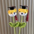 thumbnail image 2 of Ramo de graduación hecho a mano con ganchillo - Figurita de niño/niña/perro de recuerdo para graduados, profesores, amantes de las mascotas | Regalo de hilo ecológico para celebraciones académicas, 2 of 6