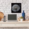 thumbnail image 3 of Stupell Industries Modern Close Up Dandelion Petals Canvas Art, 24 x 24, by Andre Eichman, 3 of 7