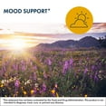 thumbnail image 3 of Metabolic Maintenance R.E.M. Maintenance - Magnesium Glycine Inositol Melatonin Blend - Circadian Rhythm Support - Easy Drink Powder - Hypoallergenic - 60 Servings - 11 oz, 3 of 5