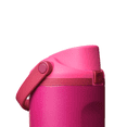 thumbnail image 5 of Owala 40oz FreeSip® Sway Stainless Steel - Read My Lips, 5 of 7