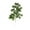 Green, variant on ToyKingdee Artificial Pine Branches,Fake Plastic Green Plants Pine Evergreen Plant Tree Branch DIY for Embellishing Home Décor
