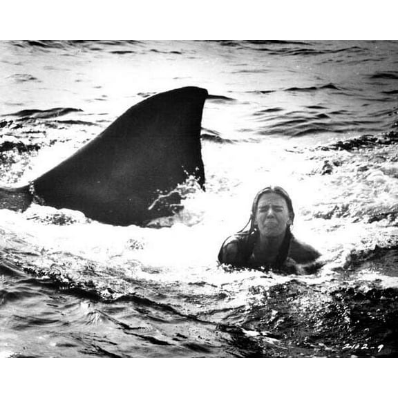 Jaws 2 1978 Cindy Grover as Lucy gets a shark surprise 24x30 inch poster