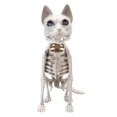 thumbnail image 2 of Esqueleto de gato realista para Halloween, decoración de 5,9 x 9,4 x 13,4 pulgadas para cementerio, , multifuncional, de animal realista., 2 of 9