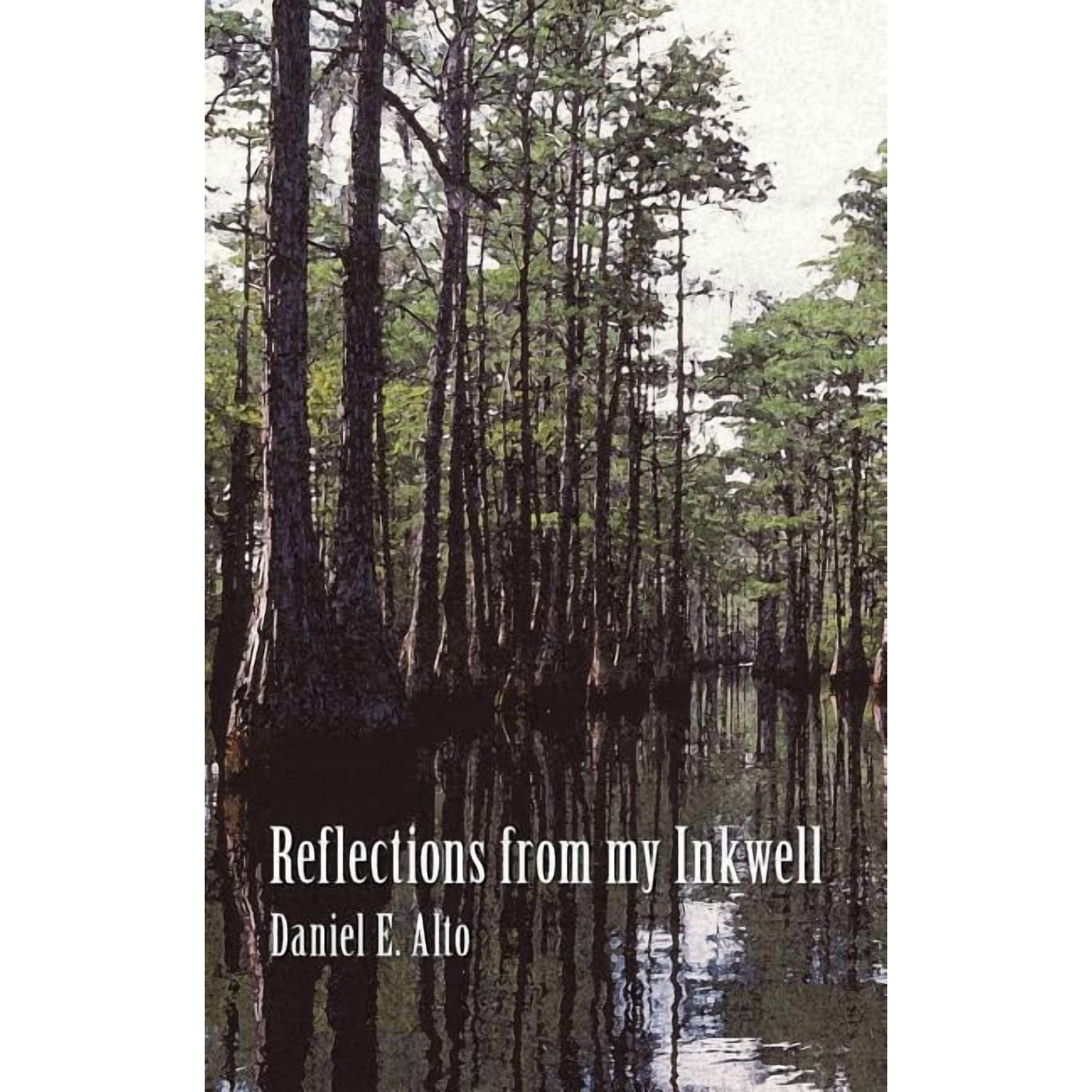 Reflections from My Inkwell: A Collection of Short Stories That Read Like a Dime Novel (Paperback)
