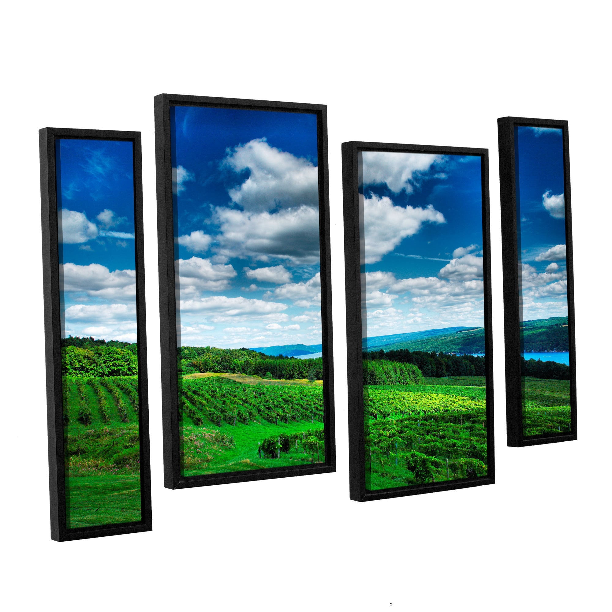 ArtWall Steve Ainsworth "Vineyard and Lake" 4-Piece Floater Framed Canvas Staggered Set