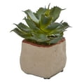 thumbnail image 4 of Nearly Natural Mixed Succulent Artificial Plant (Set of 4), 4 of 12