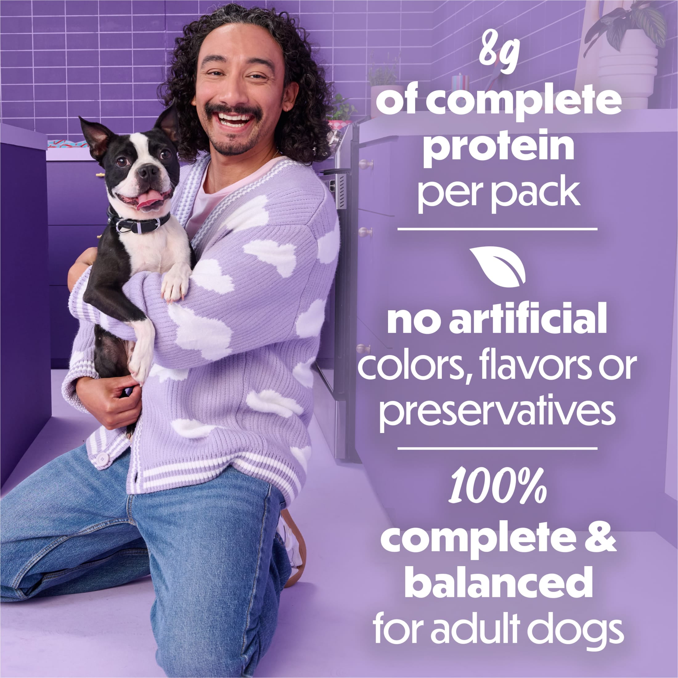 (4 pack) Purina Beneful Kitchen Creations With Beef and Garden Veggies in Sauce Wet Dog Food, 3 oz, 8 Pack