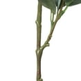 thumbnail image 5 of Vickerman 32" Artificial Green Eucalyptus Leaf Spray. Includes 3 sprays per pack., 5 of 7