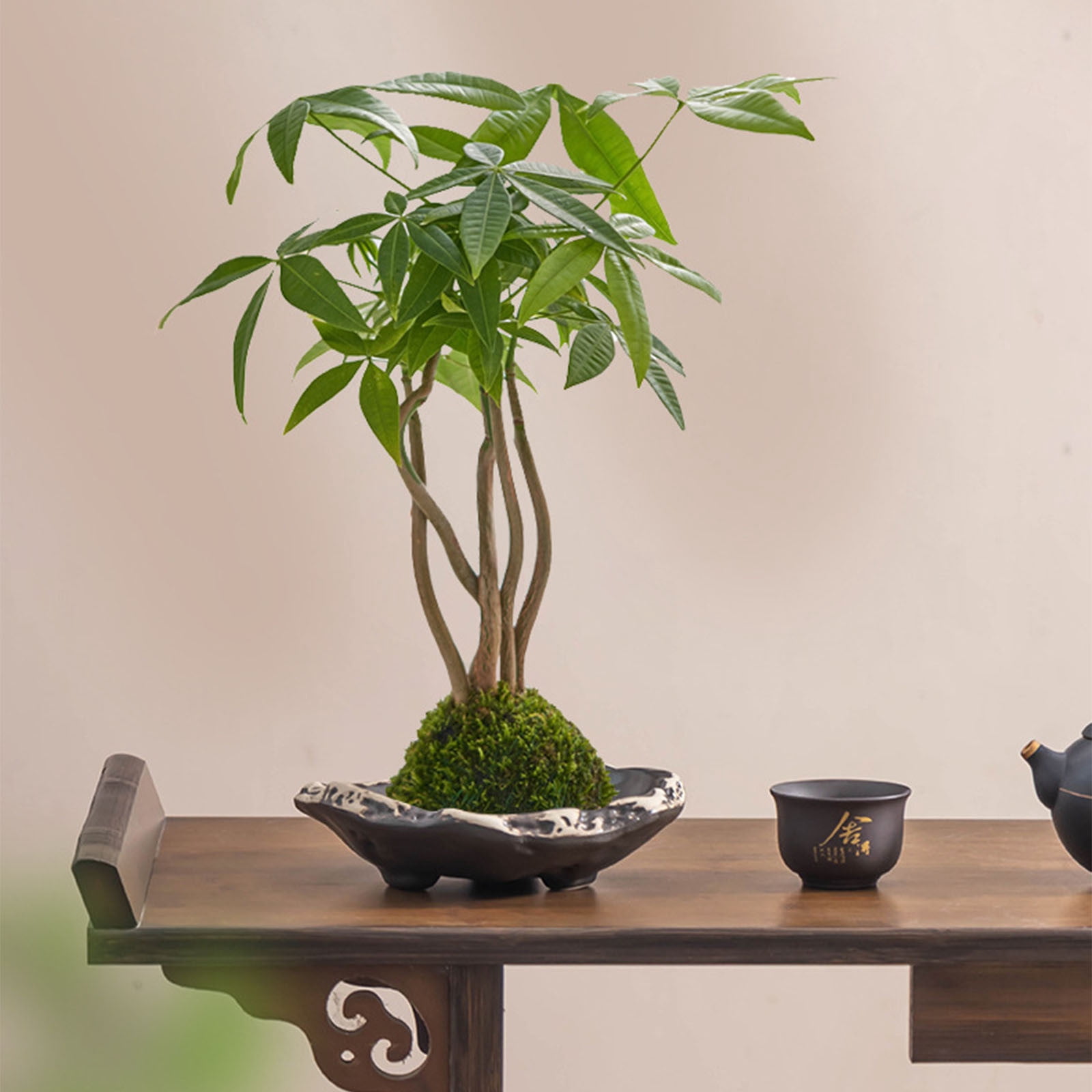 ufehgfjh Gifts Glazed High-Foot Water Culture Flower Pot Ceramic Indoor Hydroponic Planter Large Mouth Decorative Desktop Plant Pot For Home Office Gardening