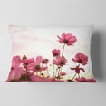 thumbnail image 2 of Designart Cosmos Flowers Meadow At Sunset - Floral Throw Pillow - 12x20, 2 of 5