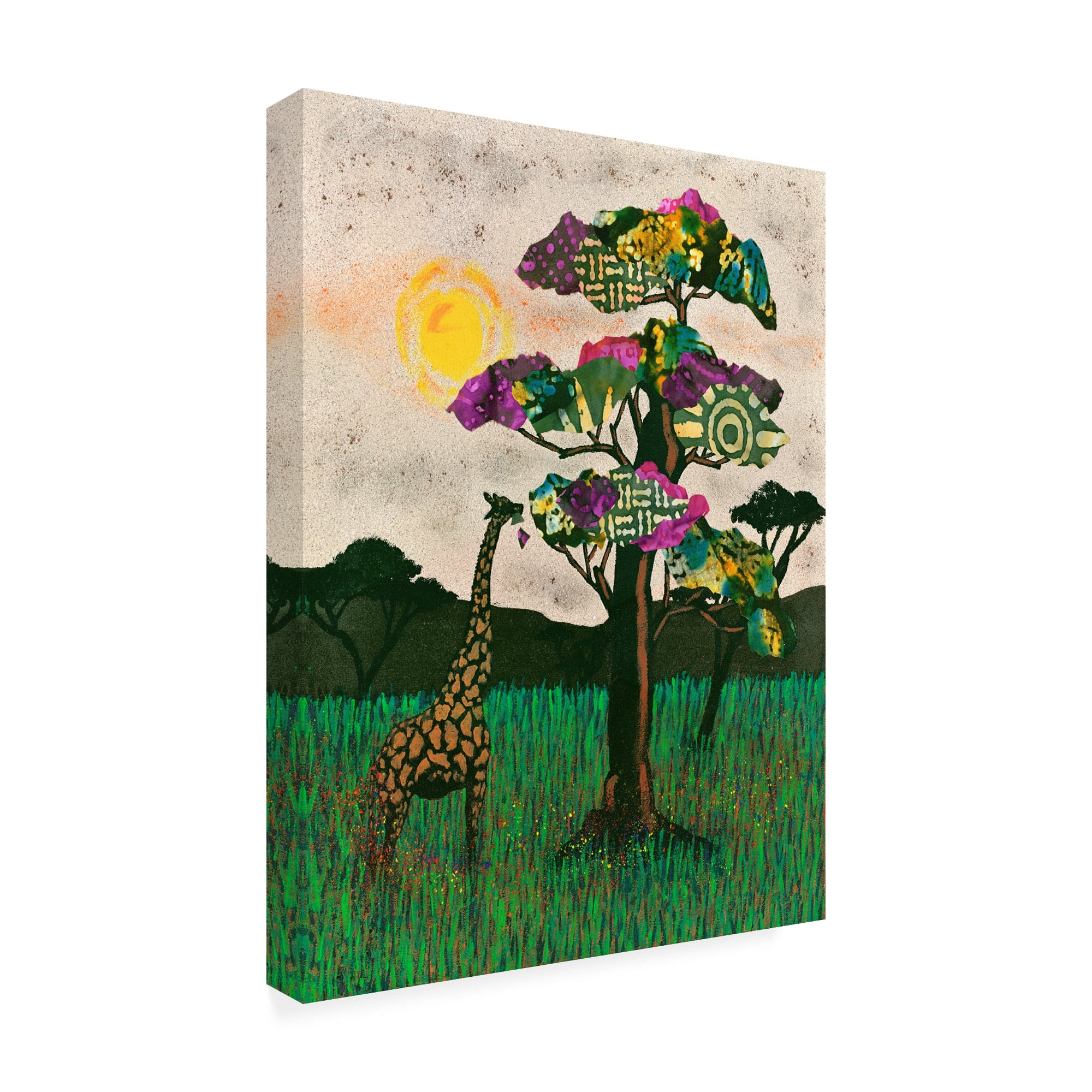 Trademark Fine Art 'Planes of Africa II' Canvas Art by Alonzo Saunders