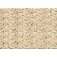 thumbnail image 1 of Ahgly Company Machine Washable Indoor Rectangle Transitional Peru Brown Area Rugs, 2' x 4', 1 of 7