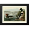 thumbnail image 2 of Audubon, John James 18x14 Black Modern Framed Museum Art Print Titled - Goosander, 2 of 5