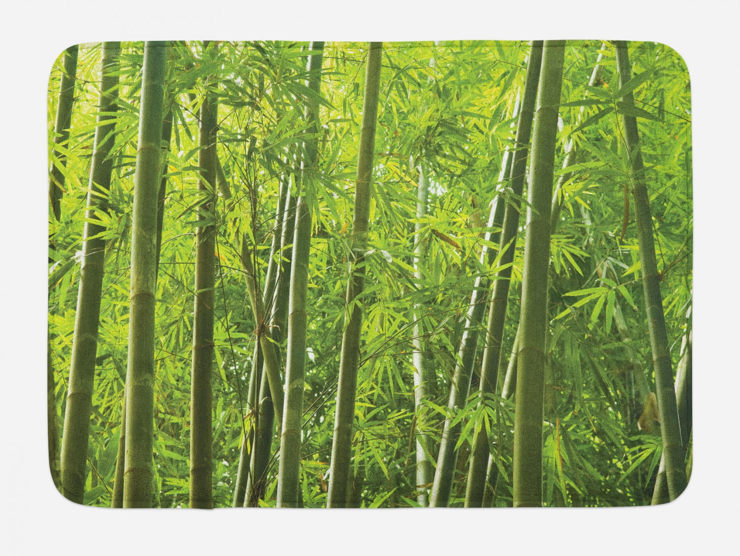 Bamboo Bath Mat, Exotic Tropical Bamboo Forest with Fresh Color Asian