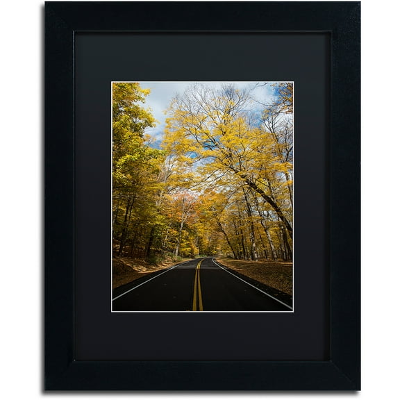 Trademark Fine Art "Autumn Along the Valley Parkway 2" Canvas Art by Kurt Shaffer, Black Matte, Black Frame