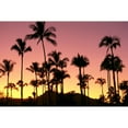 thumbnail image 2 of Hawaii  Kauai  Sleeping Giant And Coconut Grove At Sunset  Silhouetted A41D Poster Print, 2 of 2