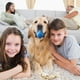 thumbnail image 4 of Juguetes interactivos para perros: juguete grande y mejorado para perros, se mueve automáticamente, rueda y salta de forma inteligente para perros y gatos, con vibración, 4 of 7