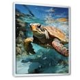 thumbnail image 2 of Designart "Serene Watercolor Depicting A Turtle By The Coast" Animals Turtle Floater Framed Wall Art Living Room, 2 of 5