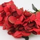 thumbnail image 1 of Bewildely Flores artificiales de seda, hortensia, peonía, ramo de novia, flor de seda Kits de decoración para fiestas No.06, 1 of 6
