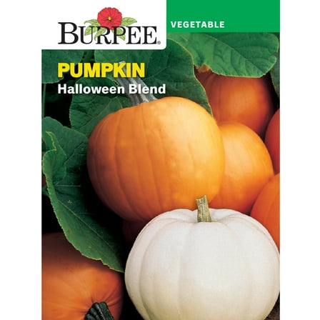 Burpee Halloween Blend Pumpkin Vegetable Seed, 1-Pack
