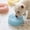 Blue, variant on Pet Automatic Water Feeder, Floating Disk Bowl to Keep Chin Dry, Adjustable Stream for Cats and Dogs