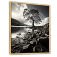 thumbnail image 2 of Designart "Grayscale Tree horizon" Floral Floater Framed Canvas Art Print, 2 of 7