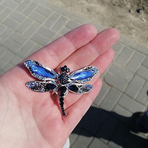 Dragonfly brooches and clearance pins