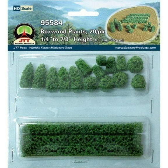 Boxwood Plants, .875", 20pk