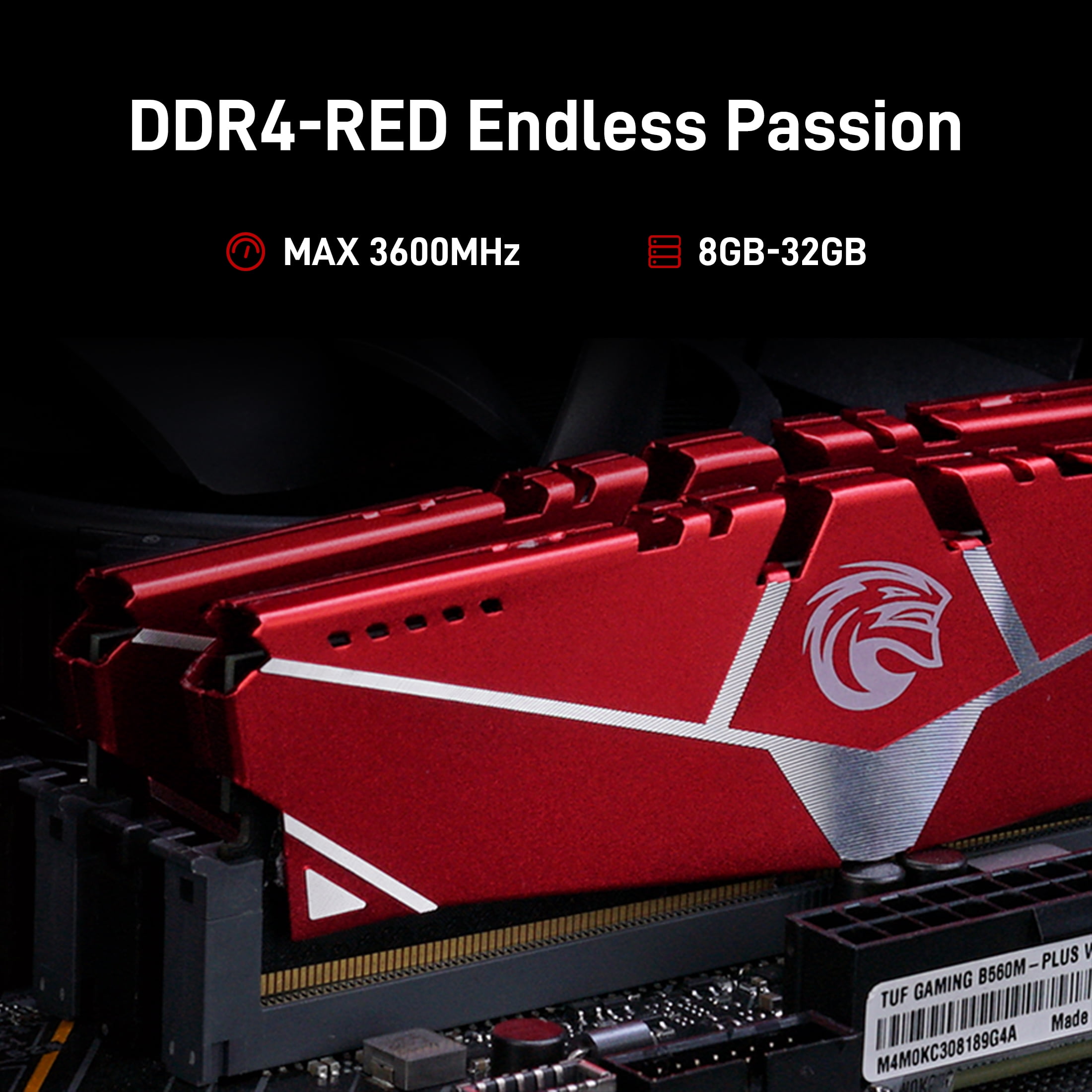 KingSpec DDR4 RAM 32GB (2x16GB) 288-Pin DDR4 SDRAM Memory Module 3200 MHz 288-Pin UDIMM with Heatsink for Computer Desktop PC Memories Module Gaming