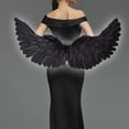 thumbnail image 1 of Accesorio de disfraces de Ángel Yinane Disfraz de ala Halloween para niños 31,5x15,7 pulgadas, 1 of 8