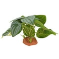 thumbnail image 1 of Plantas de Terrario de Bargains Únicos con Aspecto Natural Escondites Accesorios de Tanque de Dragón Barbudo Mejoran el Hábitat de Reptiles Plantas de Terrario Verdes, 1 of 7