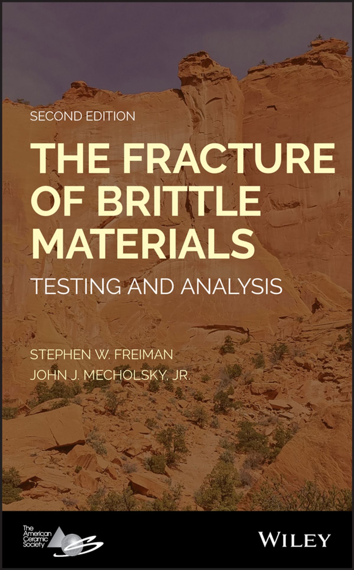 The Fracture of Brittle Materials eBook