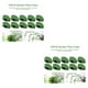 thumbnail image 4 of Soporte para plantas trepadoras Advancent 10 piezas autoadhesivo verde 3.3x1.3 cm, 4 of 6