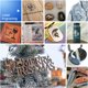 thumbnail image 5 of Máquina de grabado láser SCULPFUN S10 10W láser estándar de EE. UU. rodillo SCULPFUN cámara Sculpfun CAM500, 5 of 13